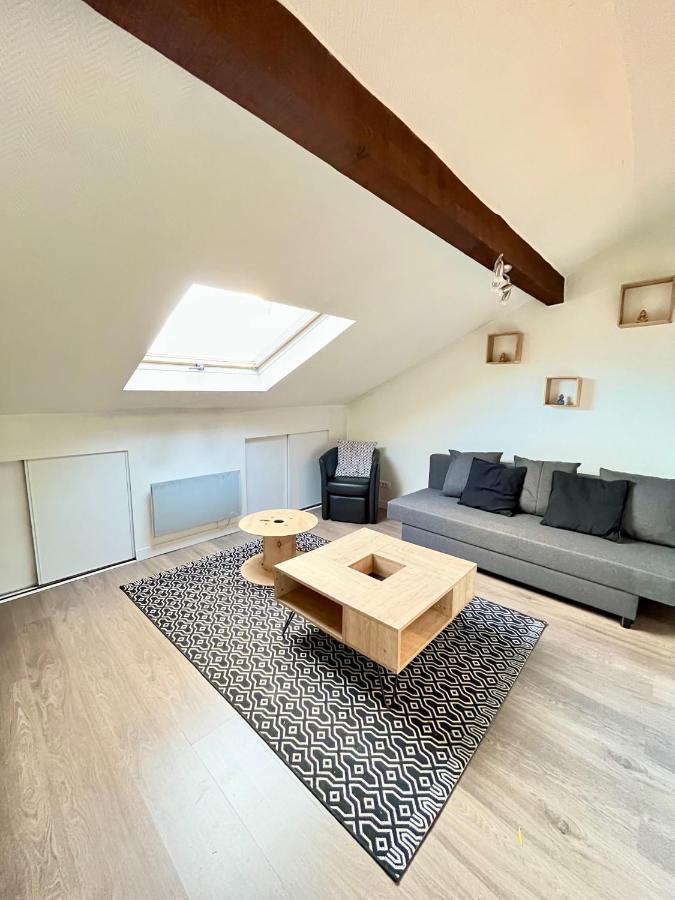 Pin'S - Magnifique Appartement Sarrebourg Exterior foto